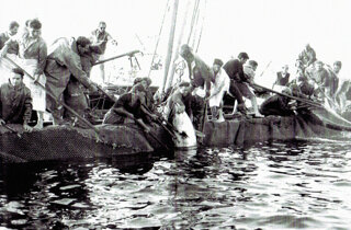 img081-1-768x497.jpeg img081-1-768x497.jpeg