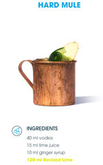 revized-hard-seltzer-lime-1233cl