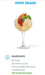 revized-hard-seltzer-luppolo-1233cl