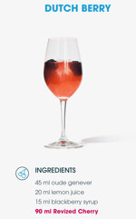 revized-hard-seltzer-ciliegia-1233cl