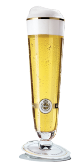 birra-fs-warsteiner-premium-pils-48-130lt