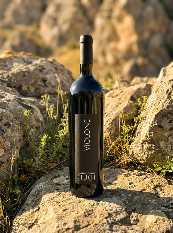 freepik__place-the-exact-bottle-img1-provided-outdoors-amon__67949.jpeg