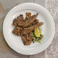 whatsapp image 2026-02-17 at 22.06.17 (1).jpeg