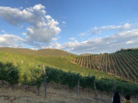 img_3607.jpeg