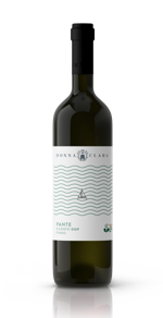 pante-dop-cilento-fiano-2024