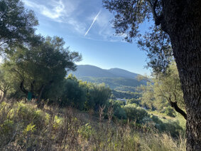 img_0770.jpeg