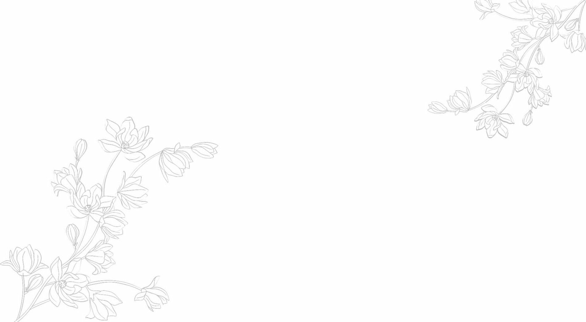 overlay.jpeg