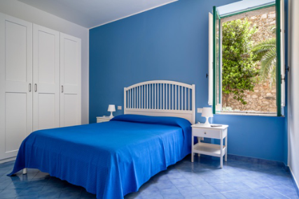 Blue Carlotta Blue Carlotta