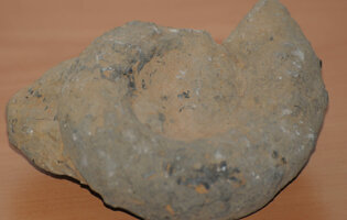 museo_minerali_e_fossili4