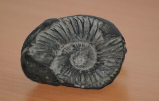 museo_minerali_e_fossili2