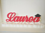 laurea-contenitore-tocco-diploma