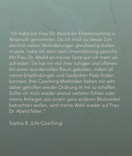 screenshot%202026-02-11%20alle%2015.27.14