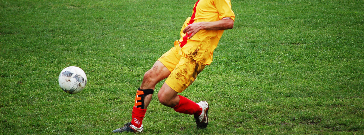 Contributi ricevuti nel 2021