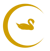c_cigno