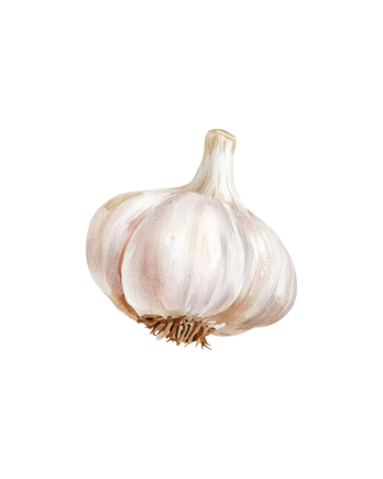 aglio