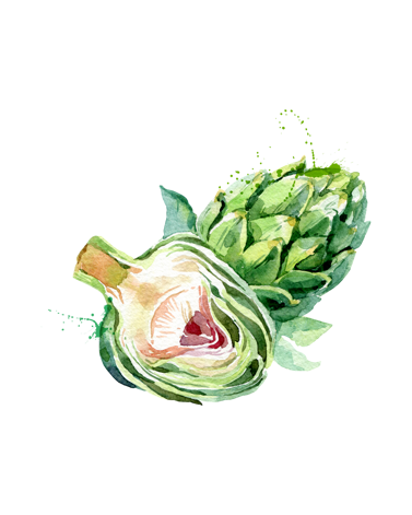 carciofo