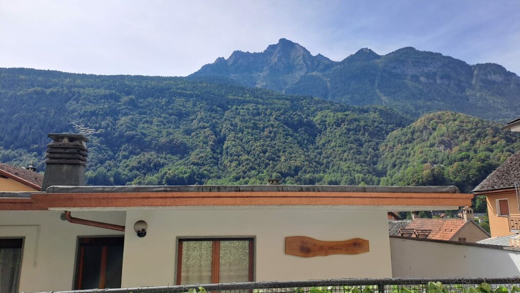 immagine whatsapp 2023-09-04 ore 08.42.15.jpeg immagine whatsapp 2023-09-04 ore 08.42.15.jpeg