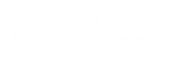 logo-sito-ef518750-271w