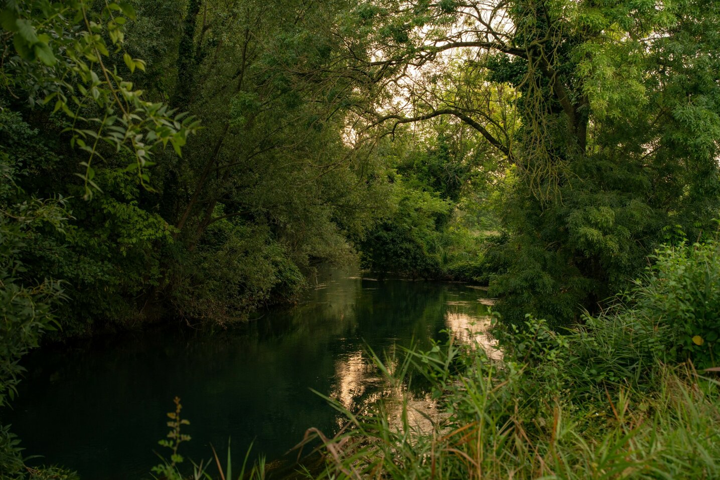 enoturismo Veneto