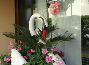 img_6798.jpeg img_6798.jpeg