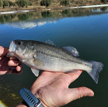 screenshot 2026-02-23 alle 10.54.08