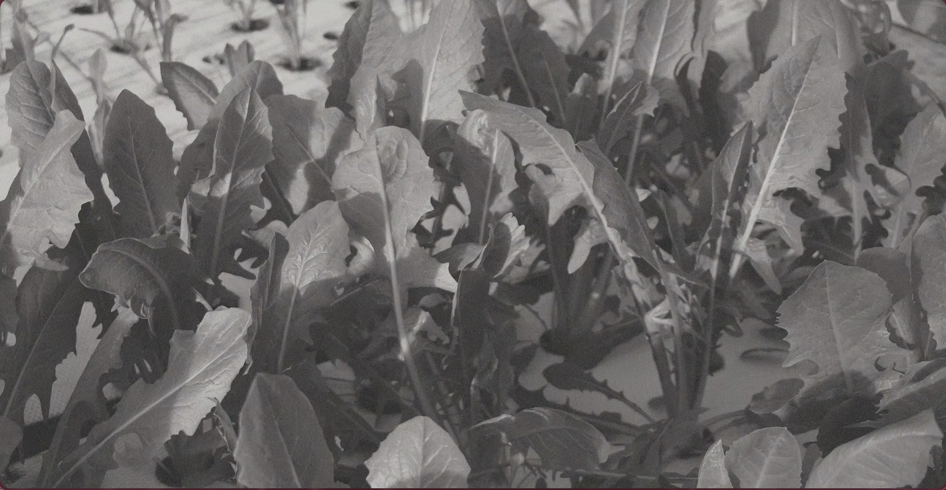 screenshot 2026-02-23 alle 10.58.13