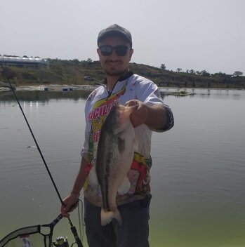 img-20240429-wa0024.jpeg img-20240429-wa0024.jpeg