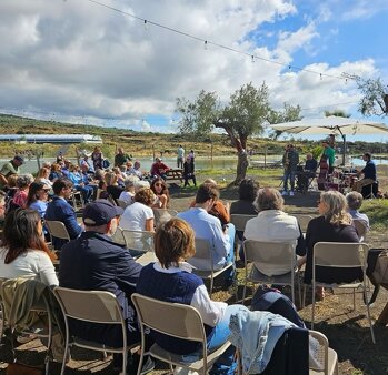 20241020_123852_edited.jpeg 20241020_123852_edited.jpeg