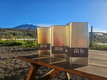 whatsapp image 2026-01-07 at 12.05.46.jpeg