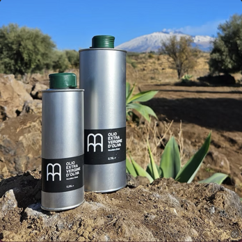 screenshot 2026-02-23 alle 11.00.11