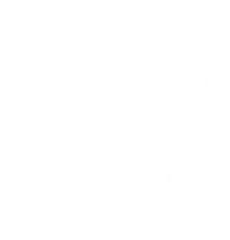 logo tm - icona bianco- png roted-01