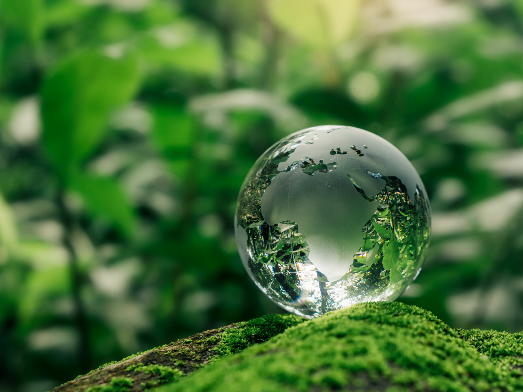 In che modo l’agricoltura idroponica fa risparmiare acqua