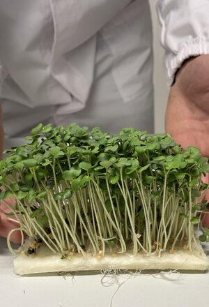 La qualità dei nostri prodotti