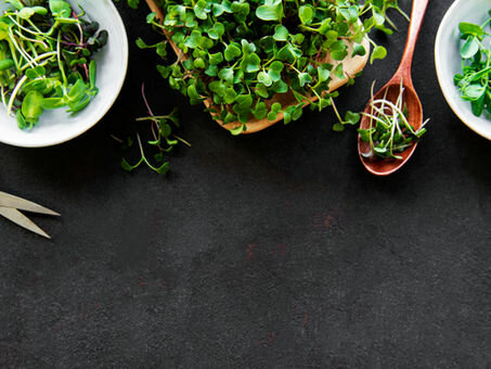 Cosa sono i microgreens?