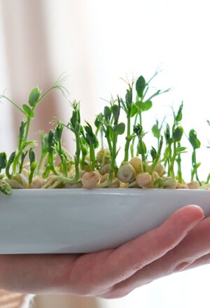 La natura vince sempre