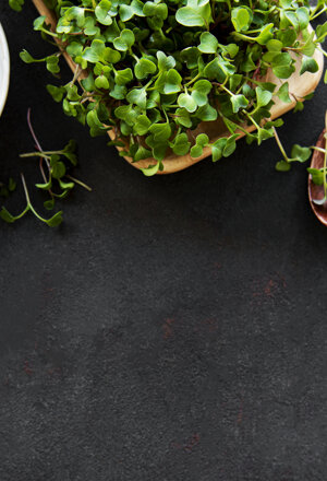Selezione di Microgreens