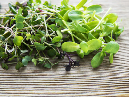 Caratteristiche nutrizionali dei microgreens