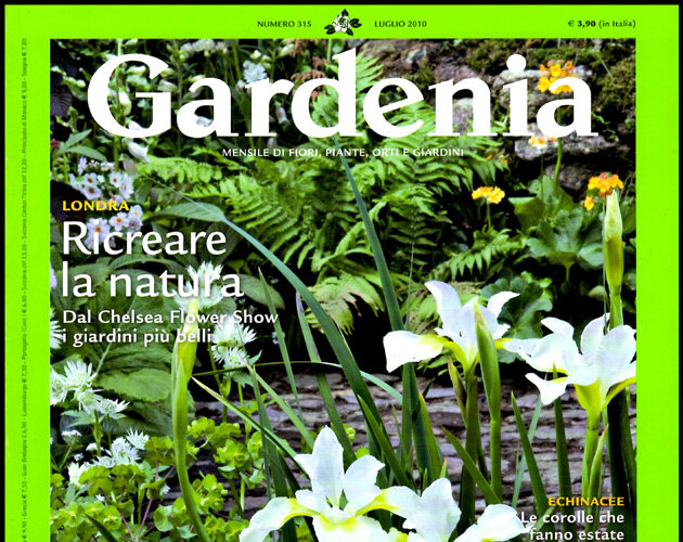 Gardenia
