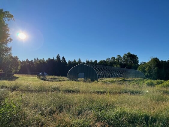 Vue des champs et tunnels de culture de la ferme Champ des Folies