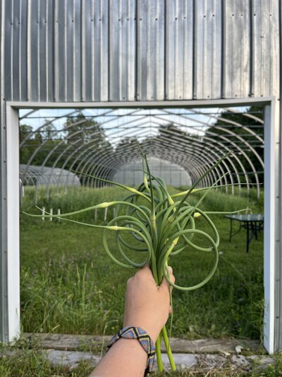 JTdCJTIyZnIlMjIlM0ElMjJGbGV1ciUyMGQlRTIlODAlOTlhaWwlMjBmcmElQzMlQUVjaGUlMjByJUMzJUE5Y29sdCVDMyVBOWUlMjBkYW5zJTIwdW4lMjB0dW5uZWwlMjBkZSUyMGN1bHR1cmUlMjIlN0Q=