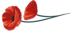 062b546de41f3dc1ddfc9af3057d14be9eae0c52