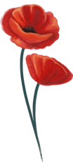 imgi_100_separador_cyan_edited