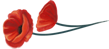 a6b222b85ea575f6aa9a8e28cfaf2eb227a54c72