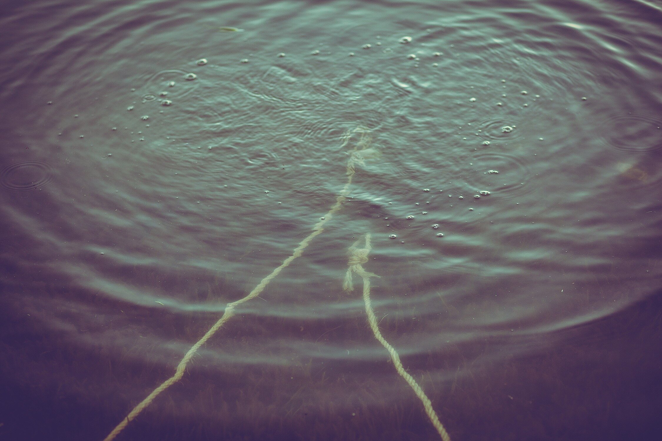 imgi_45_2591a8_d91b6f7ff2f44de0867a0adfdd099ee8~mv2_d_2250_1500_s_2.jpeg