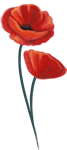 ebb35c4e2b86b18f9803a28348d892607addb96c