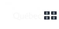 emploi et solidarite sociale quebec