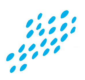 blu point white background blu point white background