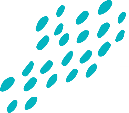 macchiotte turchese original macchiotte turchese original