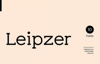 emploi et solidarite sociale quebec