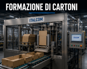 formazione dei cartoni